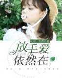 伊然许放 封面