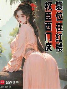 权臣西门庆，篡位在红楼 封面