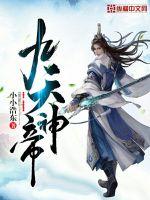 九天神帝 封面