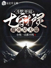 斗罗:开局七守护灵,覆灭昊天宗 封面