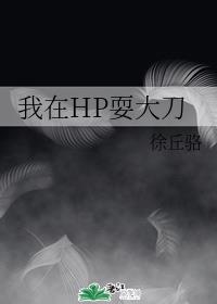 我在HP耍大刀 封面