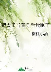 把太子当替身后我跑了 封面