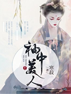 袖中美人 封面