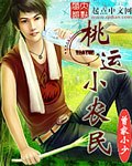 桃运小农民 封面