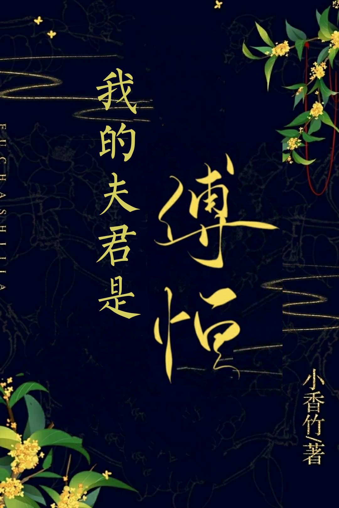 我的夫君是傅恒 封面