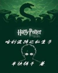 哈利波特之私生子 封面