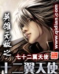 英雄无敌之十二翼天使 封面