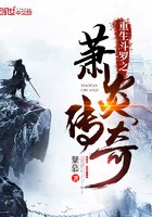 斗罗之萧炎传奇 封面