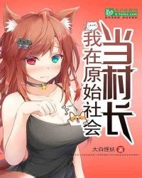 我在原始社会当村长 封面