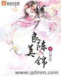 良辰美锦 封面