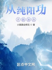 从纯阳功开始加点 封面