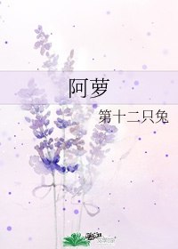 阿萝 封面