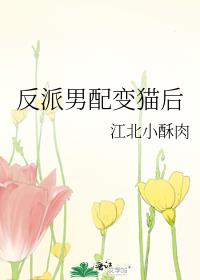 反派男配变猫后 封面