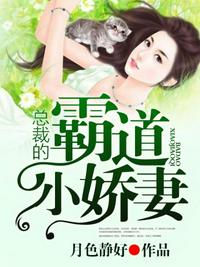 总裁的霸道小娇妻 封面