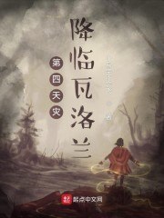 第四天灾降临瓦洛兰 封面