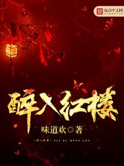 醉入红楼 封面