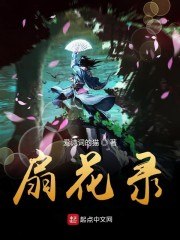 扇花录 封面