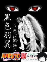火影之黑色羽翼 封面