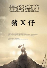 最终流放 封面