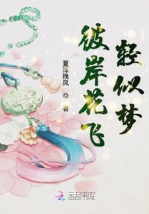 彼岸花飞轻似梦 封面