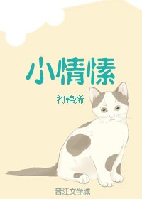 小情愫 封面