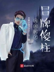 四合院之冒牌傻柱 封面