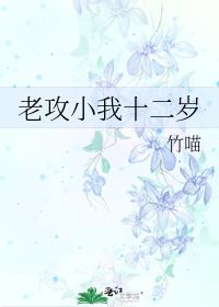 老攻小我十二岁 封面