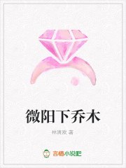 微阳下乔木 封面
