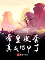 帝皇皮套真成铠甲了 封面