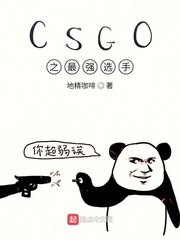 CSGO之最强选手 封面