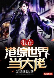 混在港综世界当大佬 封面