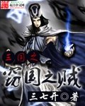三国之窃国之贼 封面