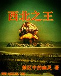 西北之王 封面