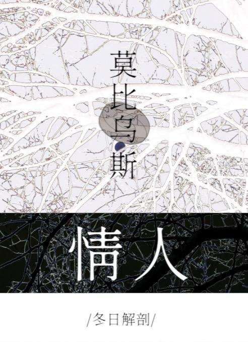 莫比乌斯情人 封面