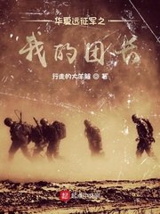 华夏远征军之我的团长 封面