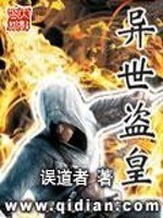 异世盗皇 封面