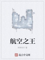 航空之王 封面