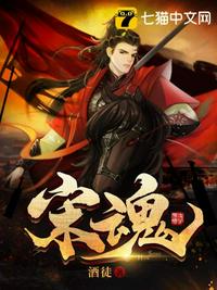 宋魂 封面