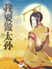 我要做太孙 封面