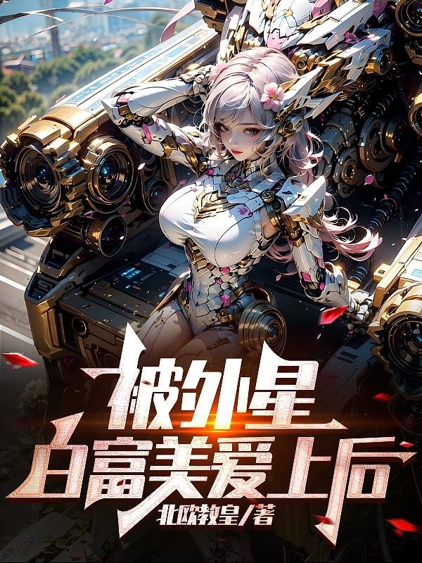 圆周率之谜 封面