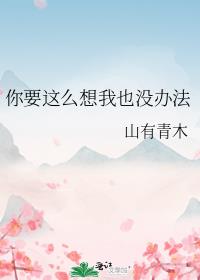 你要这么想我也没办法 封面