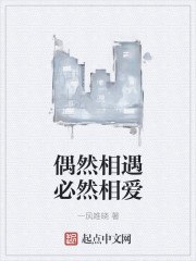 偶然相遇必然相爱 封面