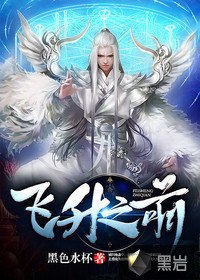 飞升之前 封面