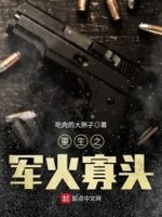 重生之军火寡头 封面