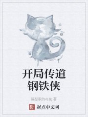 开局传道钢铁侠 封面