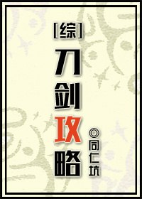 刀剑攻略[综] 封面