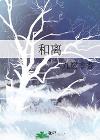 和离之后(h) 封面
