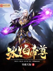 冰焰帝尊 封面