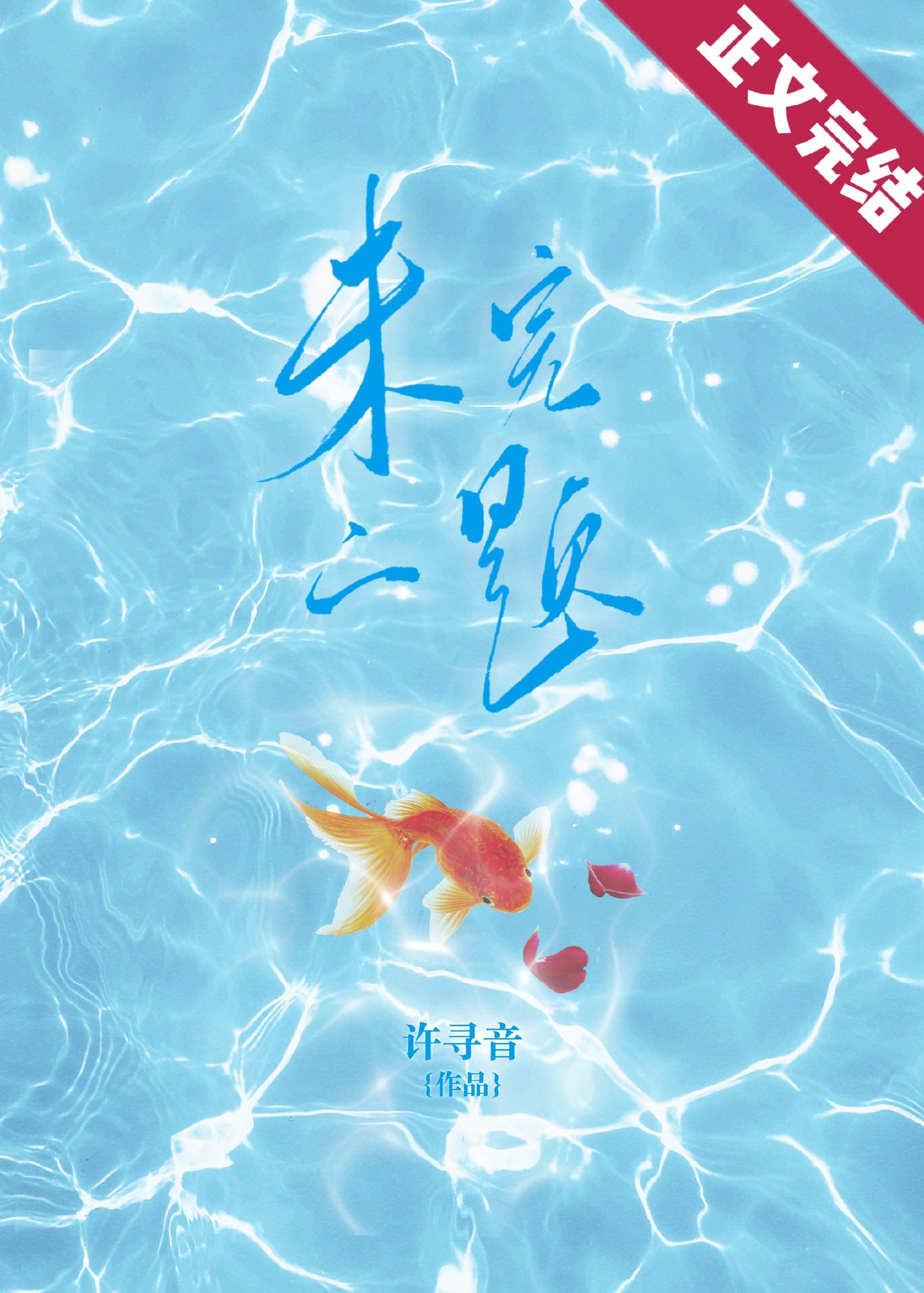 未完的题 封面
