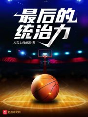 最后的统治力 封面